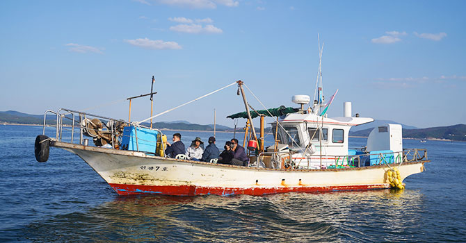 배 사진